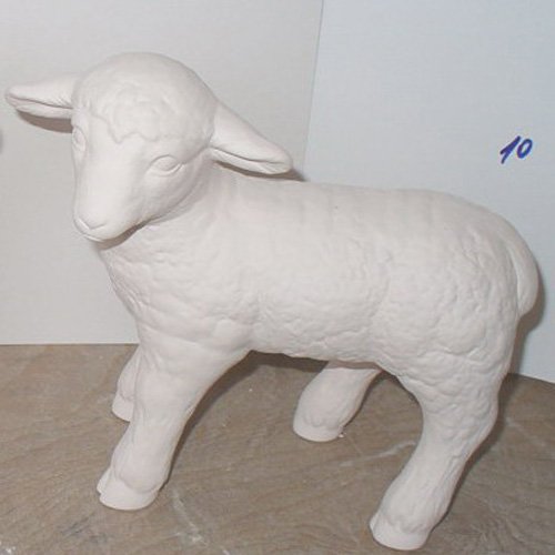mouton_08-080-2