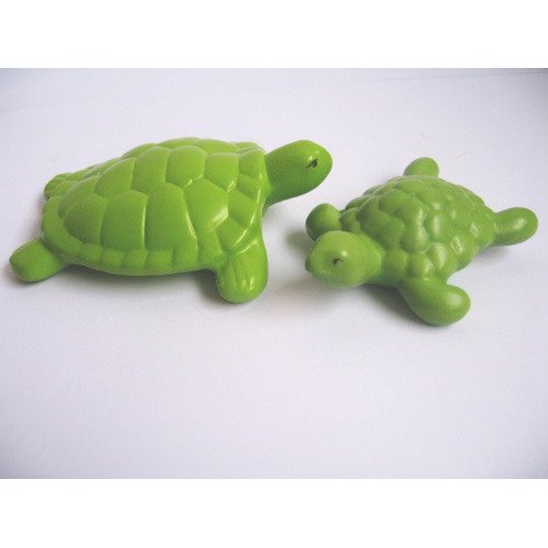 deux tortues.jpg